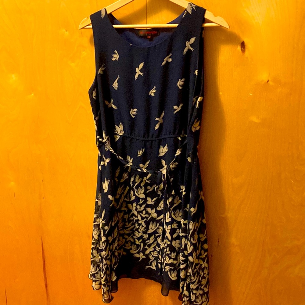 Blue bird dress